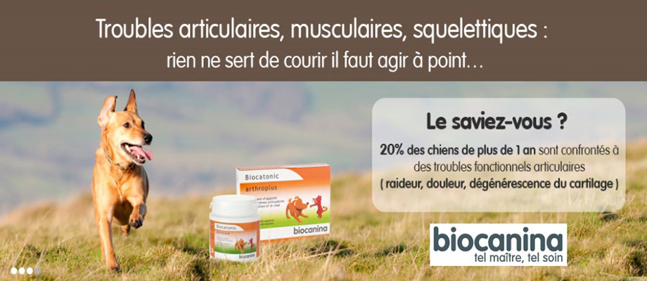 Dermalite allergique, perte de poils, eczéma...